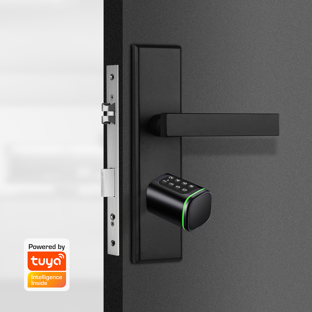 Smart Cylinder Lock Tuya 60-90 - Home Security Group recension och pris